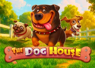 มาริ โอ้ ทางเข้า The Dog House ทดลองเล่นฟรี